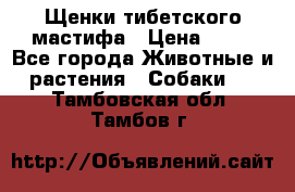 Щенки тибетского мастифа › Цена ­ 80 - Все города Животные и растения » Собаки   . Тамбовская обл.,Тамбов г.